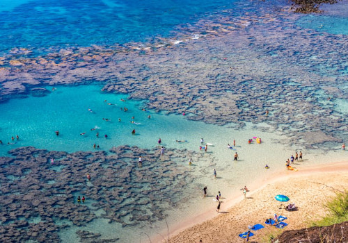 Exploring the Wild Side of Waikiki, Hawaii